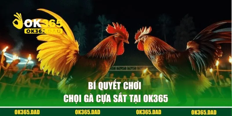 Bí quyết chơi chọi gà cựa sắt tại OK365  