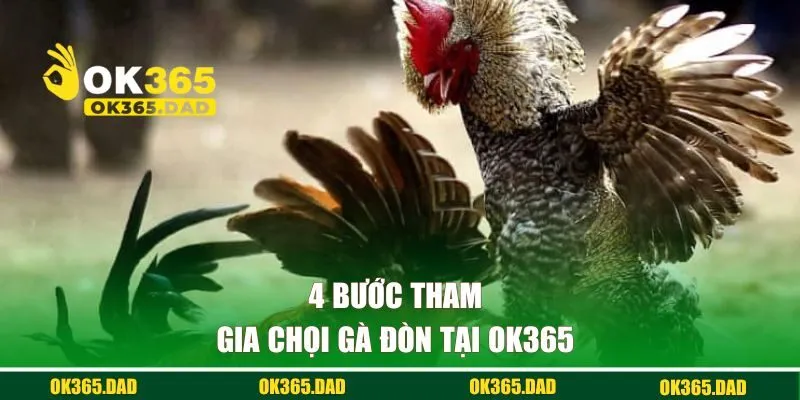 4 bước tham gia đá gà đòn tại OK365 